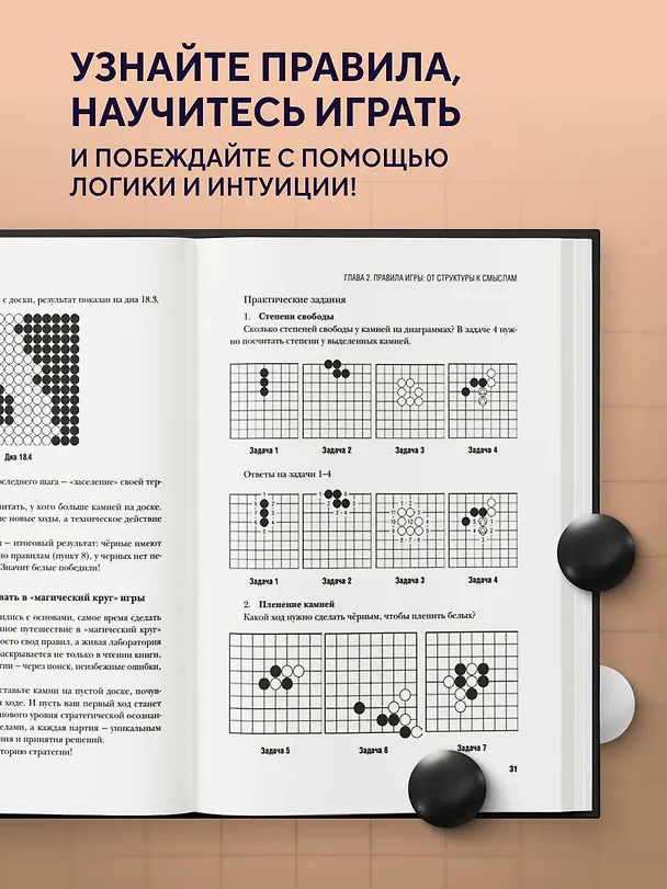 Книга Игра Го - искусство стратегии. Как принимать решения и управлять в условиях хаоса (Виктор Бахметьев, Тимур Санкин) — 6