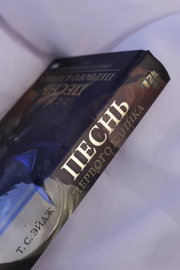 Книга Песнь Первого клинка (Т. С. Эйдж) — 11