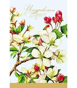 Открытка А5 Поздравляем! 5-14-0117 337246 — 1