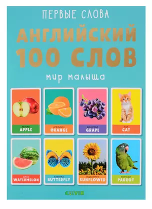 Английский. 100 слов. Мир малыша — 2729747 — 1