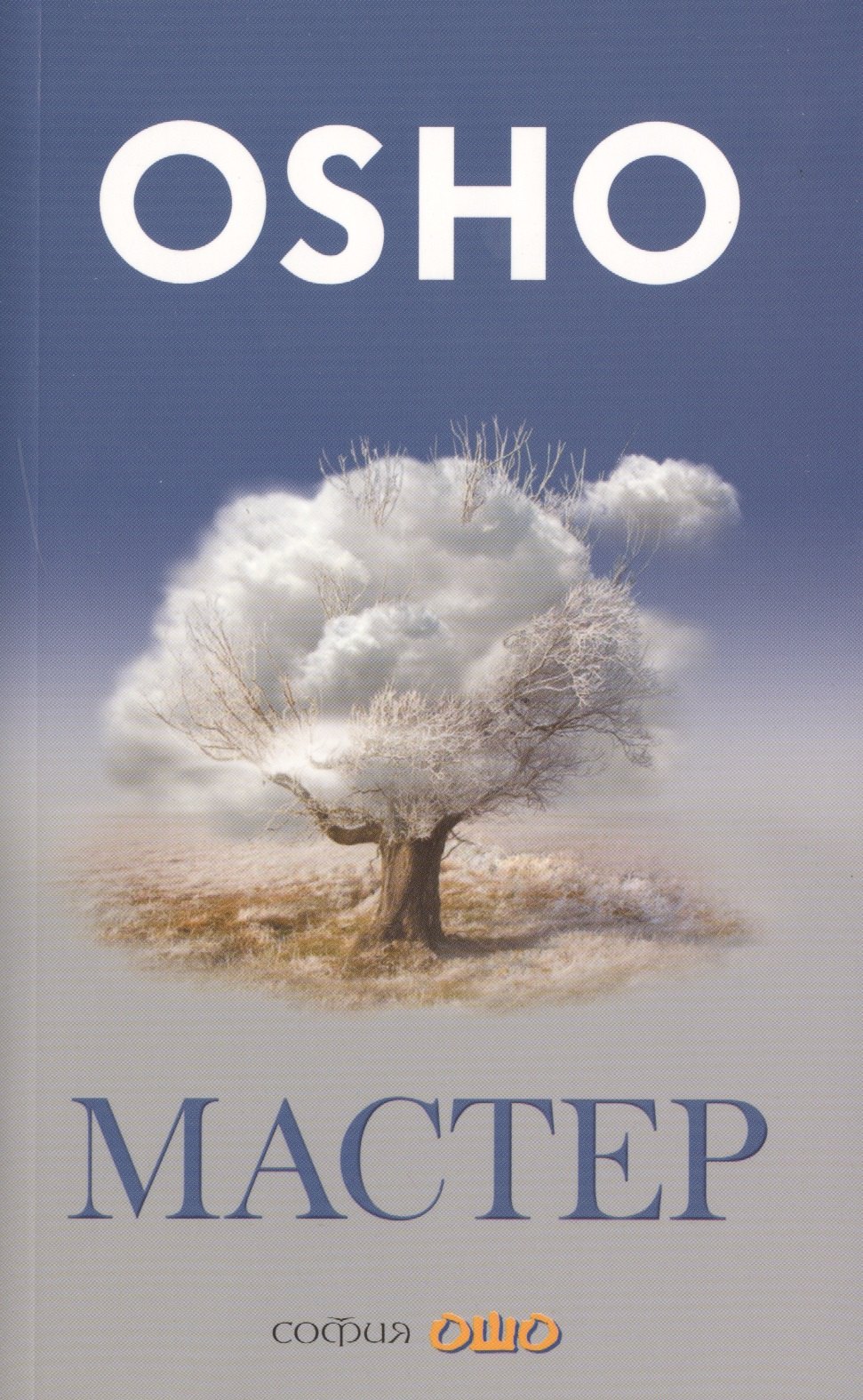 

Мастер: О преображении интеллектуала в просветленного