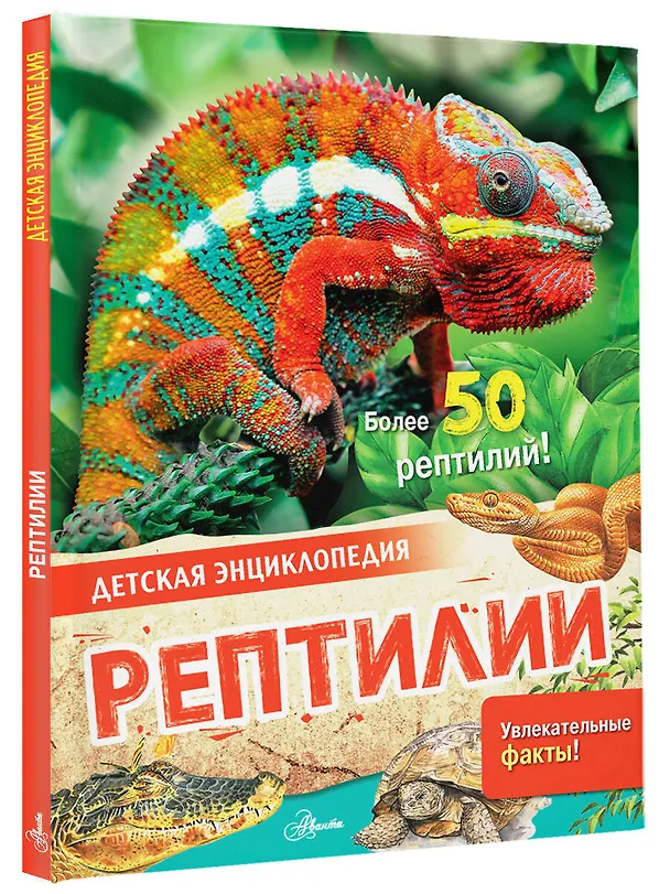 Книга Рептилии (Энн МакРей) — 4