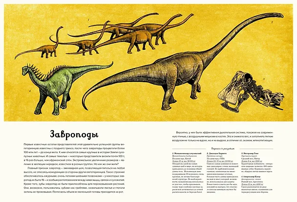 Книга Динозавриум (Кейти Скотт, Лили Маррей, Джейми Брун) — 12