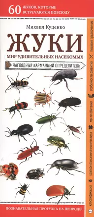 Жуки. Мир удивительных насекомых. Наглядный карманный определитель — 2806511 — 1