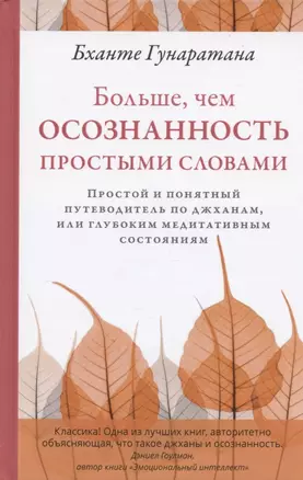 Больше, чем осознанность простыми словами. Простой и понятный путеводитель по джханам, или глубоким медитативным состояниям — 2863284 — 1