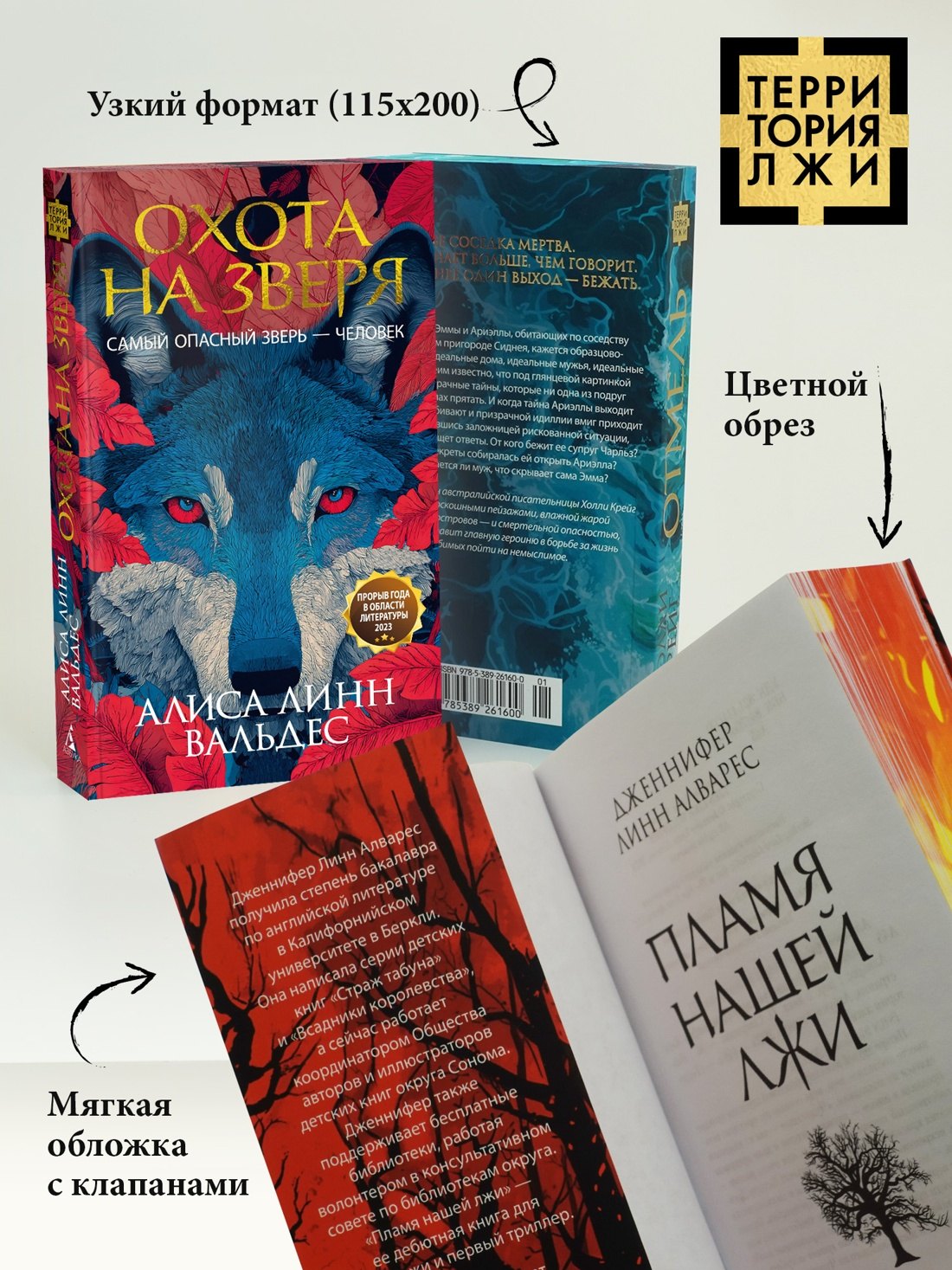 Изображение бумажной книги