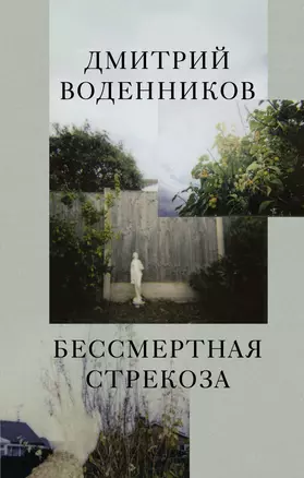 Бессмертная стрекоза — 2923177 — 1