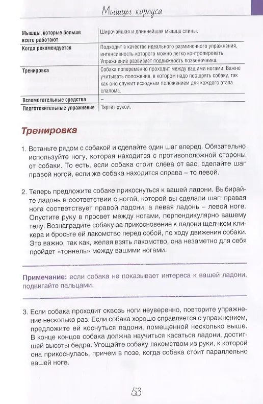 Книга Гимнастрикс. Целенаправленная тренировка мыщц для собак. 42 упражнения (Кармен Майер) — 7