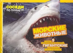 Морские животные — 2260938 — 1