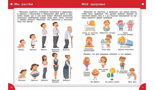 Книга Большая книга знаний от 3 до 5 лет (Светлана Чиркова) — 5
