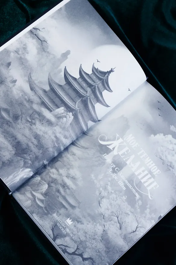 Книга Мое темное желание (Л.Дж. Шэн, Паркер С. Хантингтон) — 12