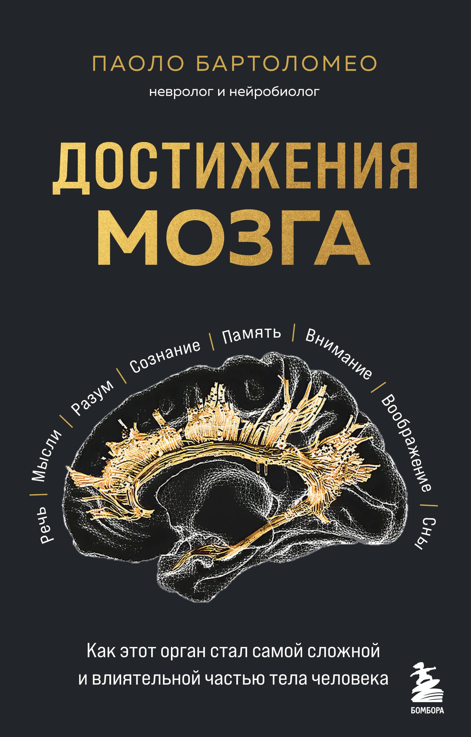 

Достижения мозга. Как этот орган стал самой сложной и влиятельной частью тела человека