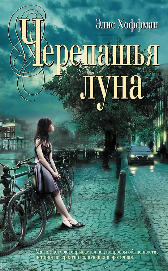 Книга Черепашья луна : роман (Элис Хоффман) — 1