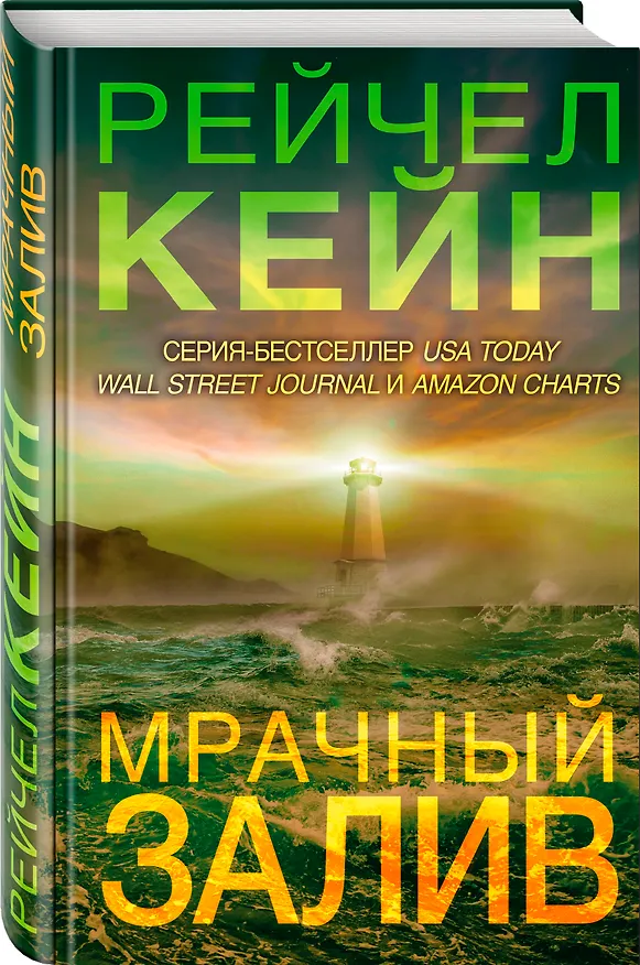 Книга Мрачный залив (Рейчел Кейн) — 4