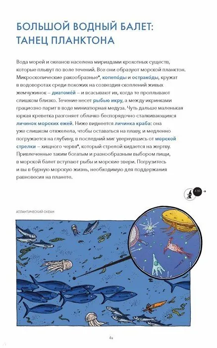 Книга Живой мир под микроскопом (Элен Ражкак, Дамьен Лавердан) — 5