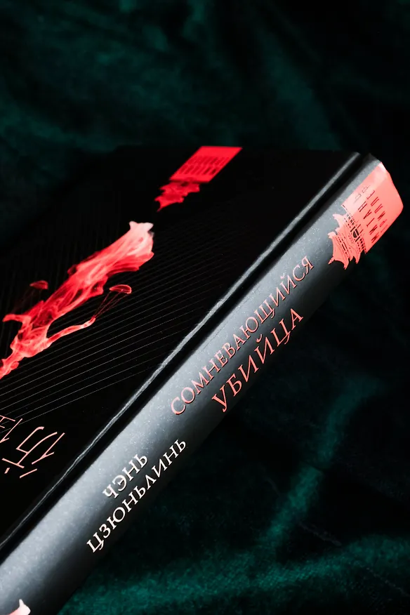 Книга Сомневающийся убийца (Цзюньлинь Чэнь) — 12