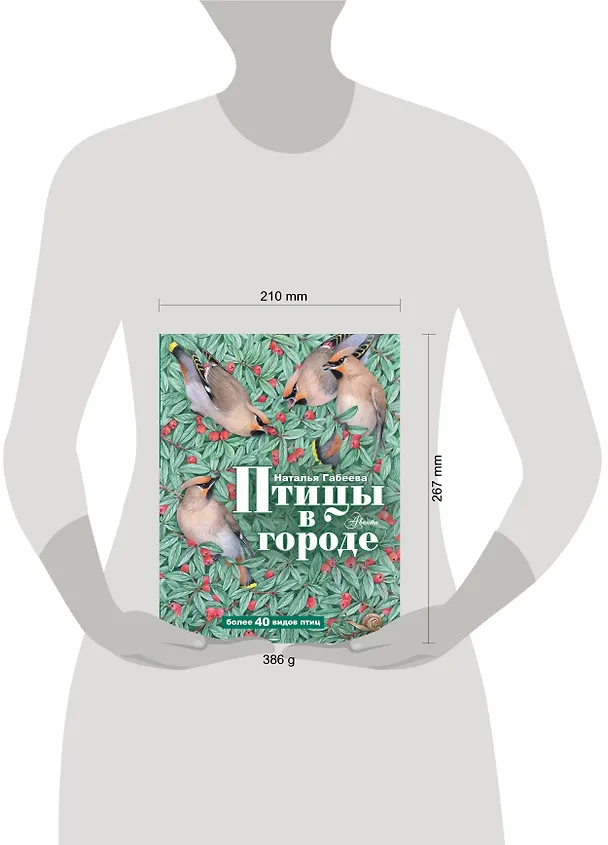 Книга Птицы в городе (Наталья Габеева) — 12