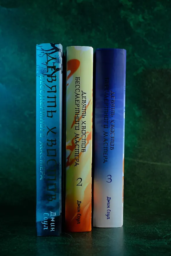 Книга Девять хвостов бессмертного мастера. Том 3 (Джин Соул) — 13