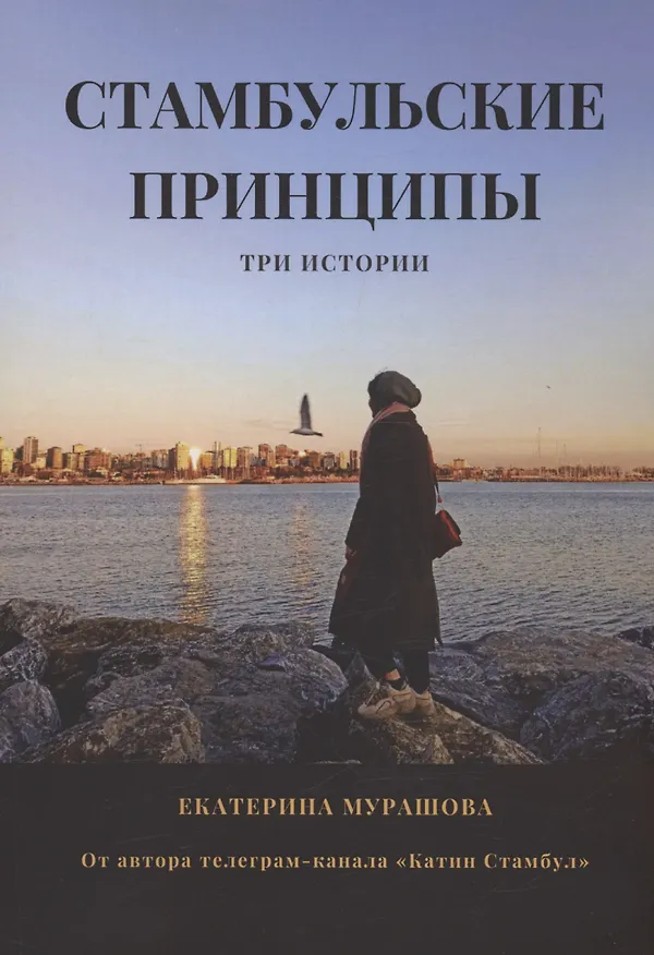 Книга Стамбульские принципы (Екатерина Мурашова) — 1