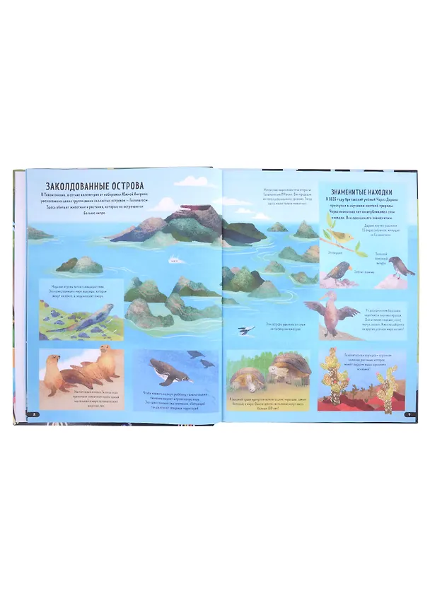 Книга Планета Земля. Энциклопедия (Меган Каллис) — 5