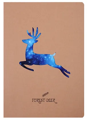 Тетрадь в линейку Forest deer, B5, 40 листов, в ассортименте 245152