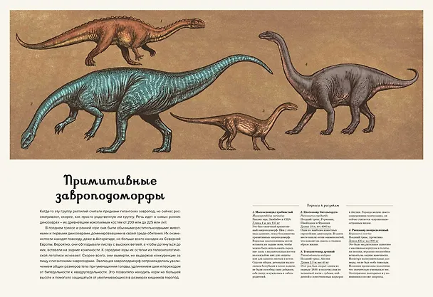 Книга Динозавриум (Кейти Скотт, Лили Маррей, Джейми Брун) — 3