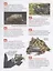 Удивительные животные. 250 фактов. Энциклопедия российского школьника — 3076817 — 3