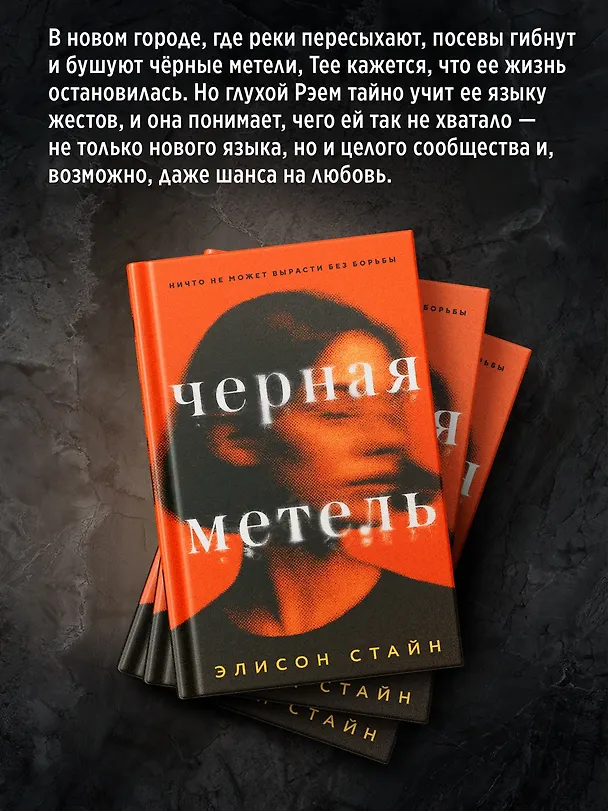 Книга Черная метель (Элисон Стайн) — 6