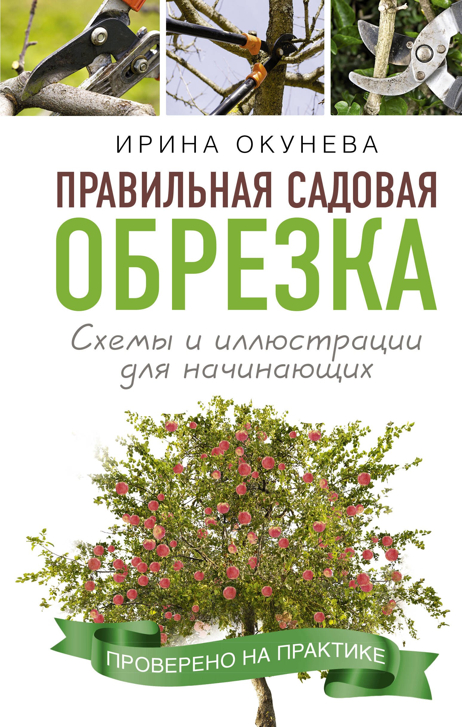 

Правильная садовая обрезка. Схемы и иллюстрации для начинающих