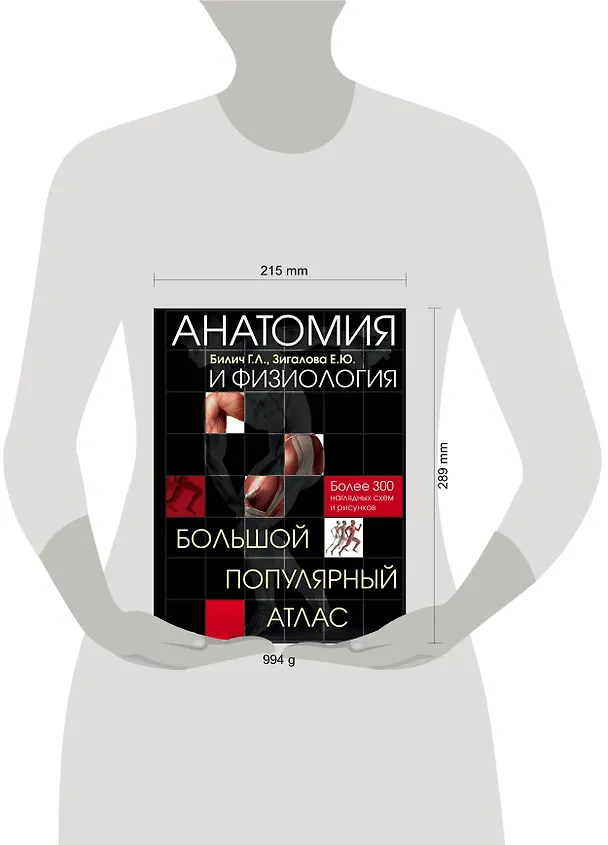 Книга Анатомия и физиология. Большой популярный атлас (Елена Зигалова, Габриэль Билич) — 5