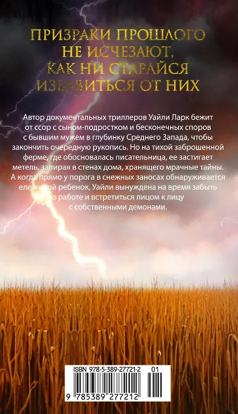Книга Ночной гость (Хизер Гуденкауф) — 14