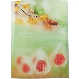 Папка-портфель «Leaves» 247027