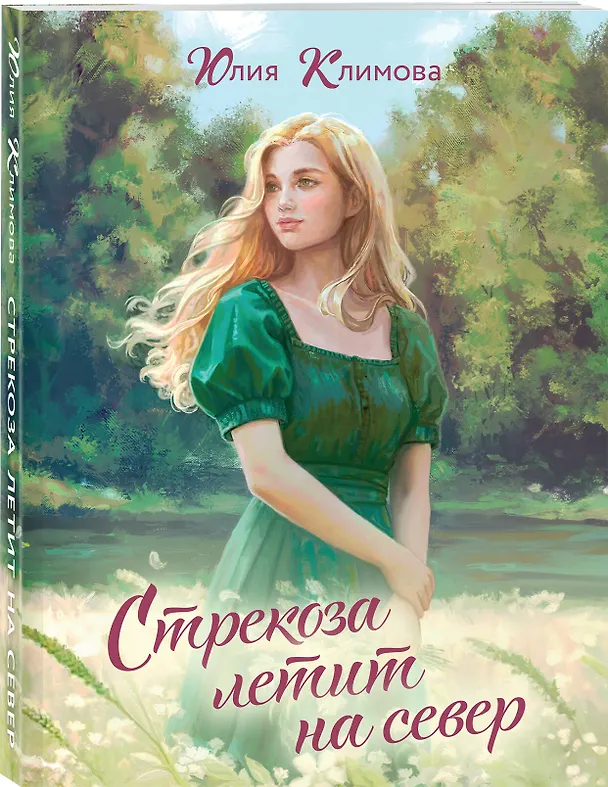 Книга Стрекоза летит на север (Юлия Климова) — 4