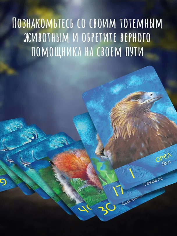 Книга Сила шамана: исцеляющие карты животных (Алла Хацкевич, Татьяна Якушева) — 7