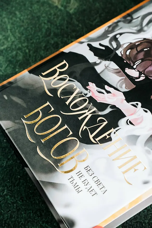 Книга Восхождение богов (Даша Пар) — 11
