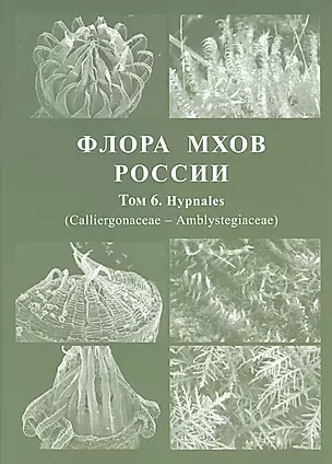 Флора мхов России. Том 6 — 2945360 — 1