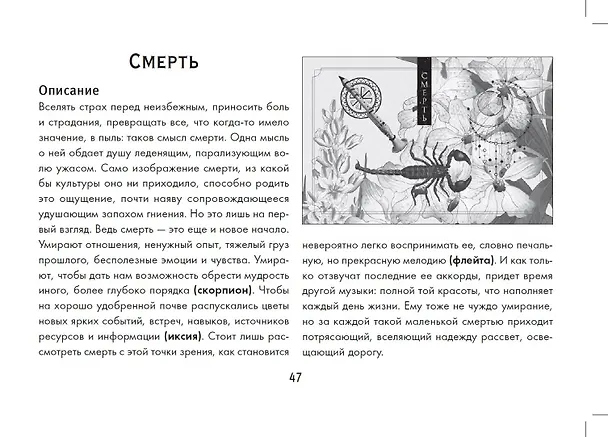 Книга Зеленая лесная Магия. Witch Oracle Cards (Изабель Моррис) — 8