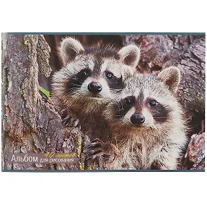 Альбом для рисования Unnika, "Любопытные еноты", А4, 40 листов, на скрепке