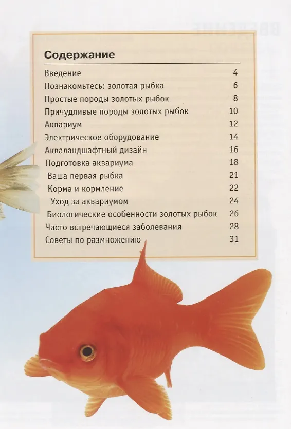 Книга Золотые рыбки. Содержание и уход (Аманда О`Нил) — 2