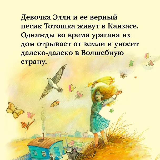 Книга Комплект "Волшебник Изумрудного города. Все приключения в 6 книгах" (Александр Волков) — 6