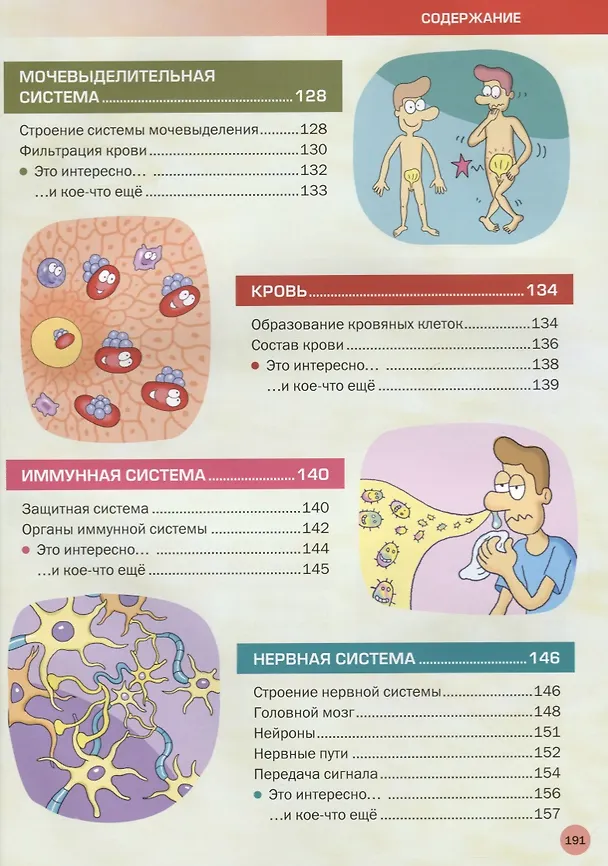 Книга Большая иллюстрированная энциклопедия. Все о теле человека () — 5