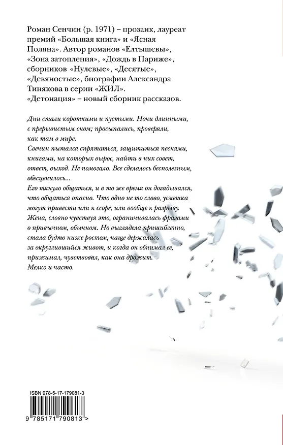 Книга Детонация (Роман Сенчин) — 2