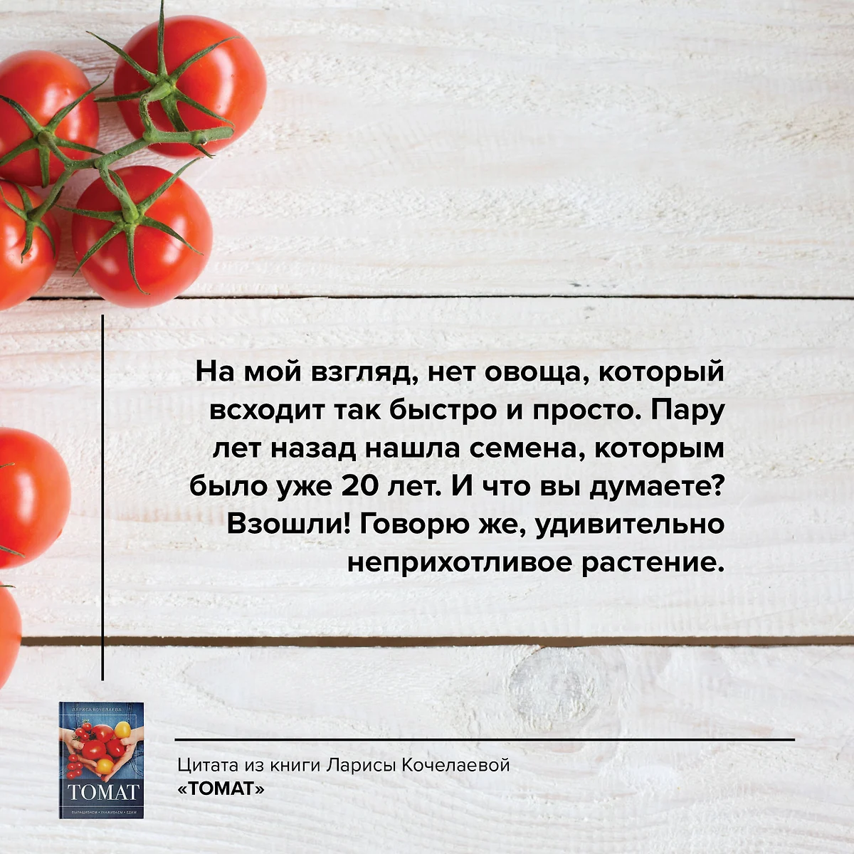 Томат. Выращиваем, ухаживаем и едим (Лариса Кочелаева) - купить книгу с  доставкой в интернет-магазине «Читай-город». ISBN: 978-5-17-161968-8