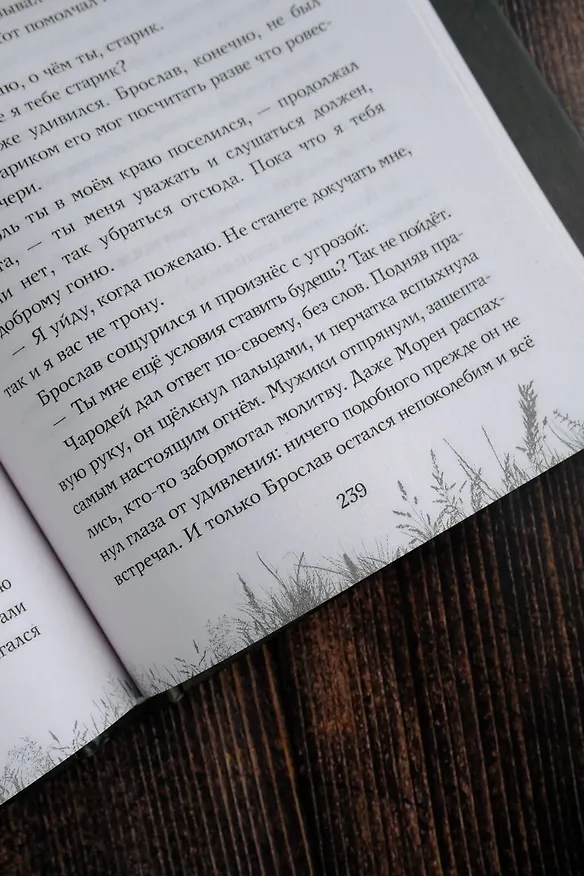 Книга Скиталец. Страшные сказки (Анастасия Князь) — 12