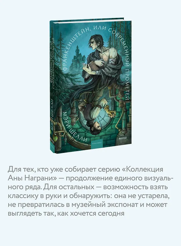 Книга Франкенштейн, или Современный Прометей. Коллекция Аны Награни (Мэри Шелли) — 6