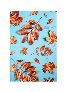 Ежедневник недат. А5 112л Золотые листья 7БЦ, мат.лам, офсет