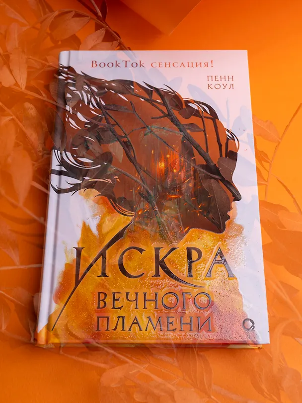 Книга Искра вечного пламени (Пенн Коул) — 5