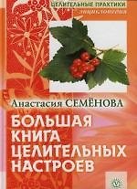 Книга Большая книга целительных настроев (Анастасия Семенова) — 1