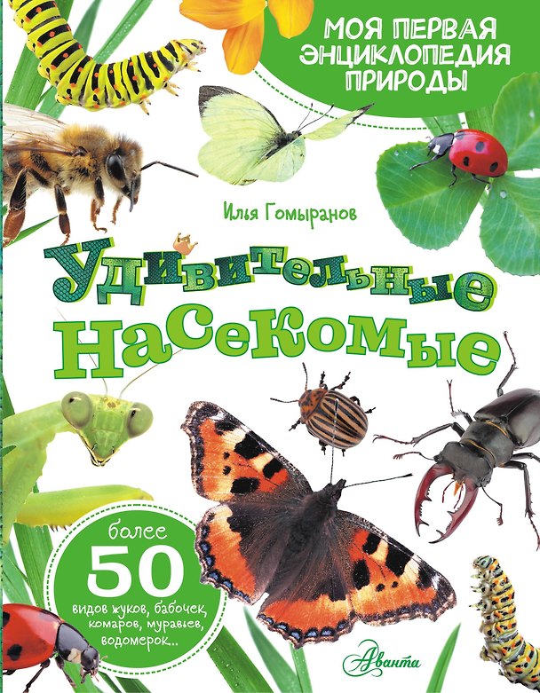 Книга Удивительные насекомые (Илья Гомыранов) — 1