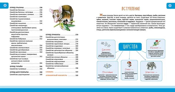 Книга Животные. Полная энциклопедия (Юлия Школьник) — 9